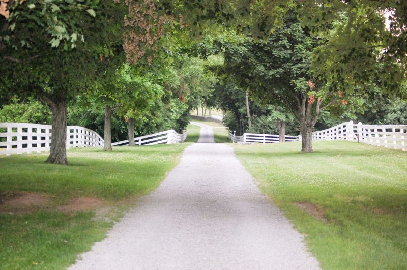 Gravel Driveway Grading