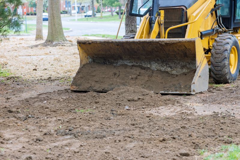 Residential Yard Before